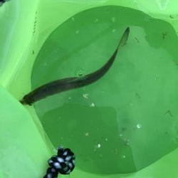 用事のついでに