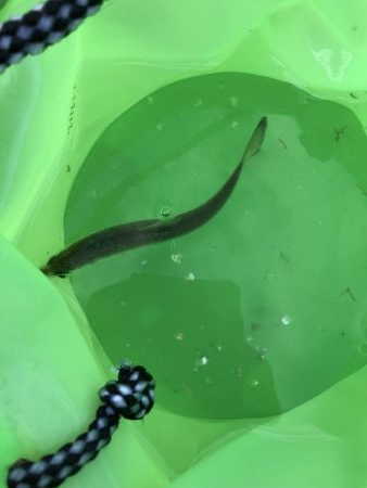 用事のついでに