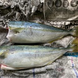 敦賀新港に釣行