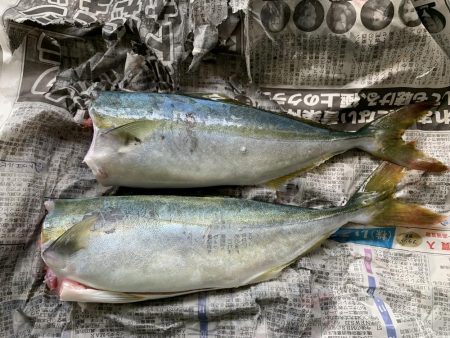 敦賀新港に釣行