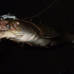 もう暫くは辛抱か