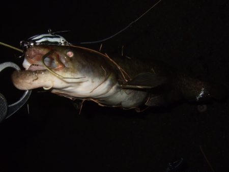 もう暫くは辛抱か