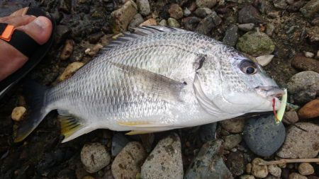 トップゲーム！！