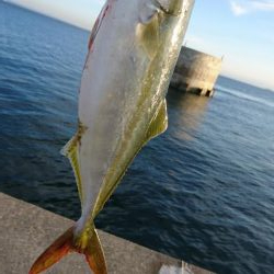 夕マズメリベンジ！！