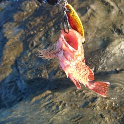 ショアジョギング