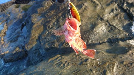 ショアジョギング