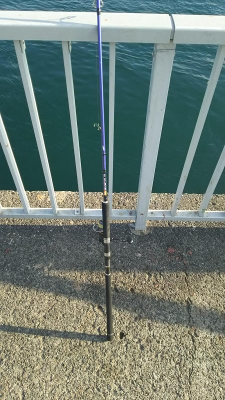 ツバス ○だがケンサキ ×