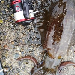 小雨の中ちょこっと