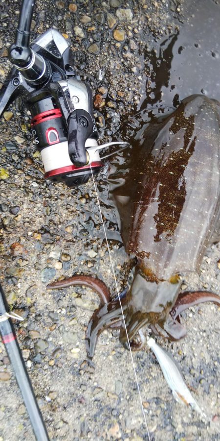 小雨の中ちょこっと