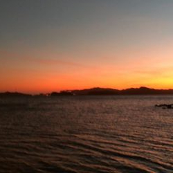 サゴシ、釣れ始めました。