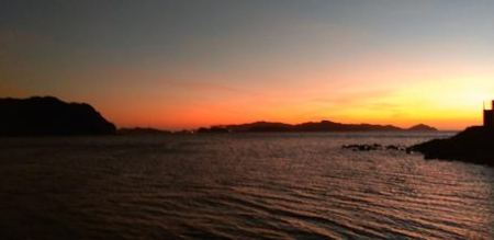 サゴシ、釣れ始めました。