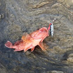 ショアジギング