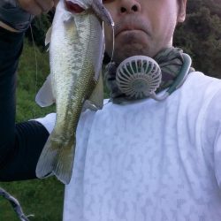 ちっこいのは入れ食い