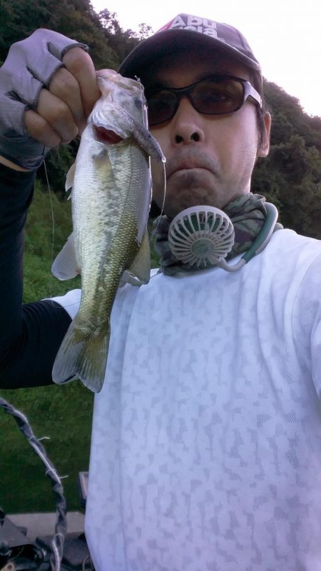 ちっこいのは入れ食い