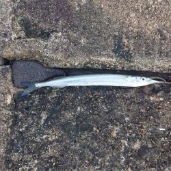 明日の大会前の最後の下見