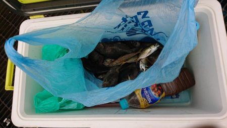 初めての海釣り公園