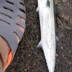 出掛けたついでに