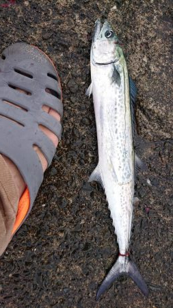 出掛けたついでに