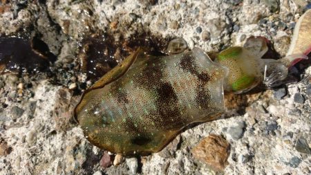 初のメーター！