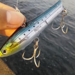 渋いぞ加太！！