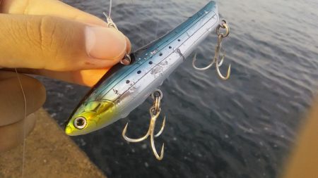 渋いぞ加太！！