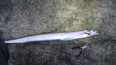 一年ぶりの貝塚