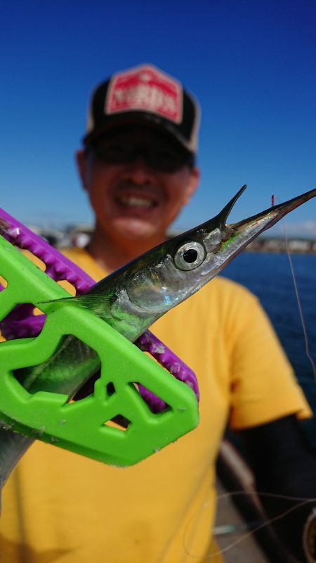 汐見埠頭で初サヨリ釣り