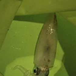 粘って、やっと、、、。