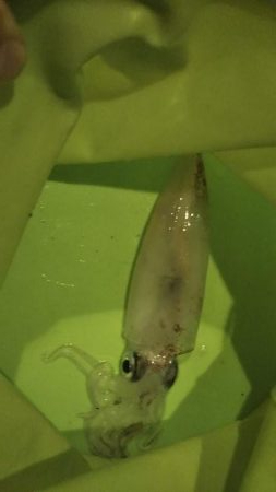 粘って、やっと、、、。