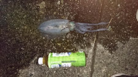 台風が来る前に行って来ました。