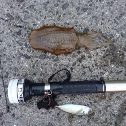 雨が降る前に今週も行って来ました。