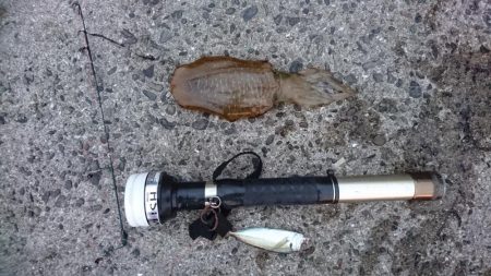 雨が降る前に今週も行って来ました。