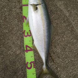 神戸のとある沖堤防