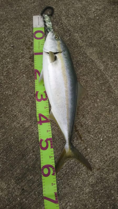 神戸のとある沖堤防