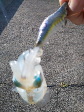 渋い?まだ早い?それとも・・・