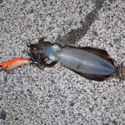 初ホームグランド!