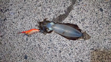 初ホームグランド！