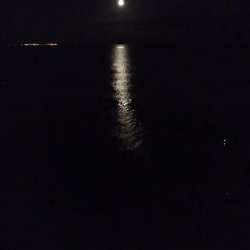 中秋の名月に待望のタチウオ