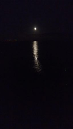 中秋の名月に待望のタチウオ