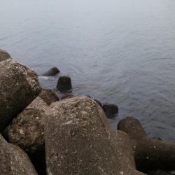 初めての釣り場でタチウオ