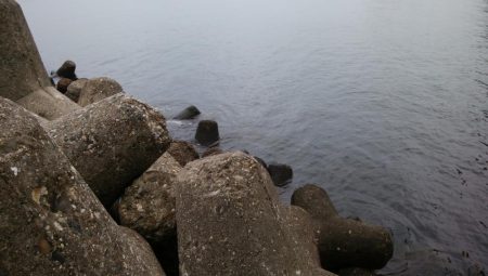 初めての釣り場でタチウオ