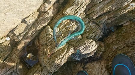 また、お前か！！