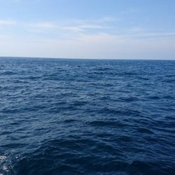 不本意な結果ですが。。