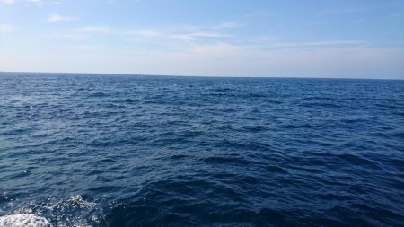 不本意な結果ですが。。