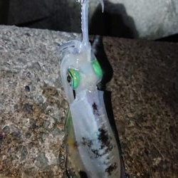 週末は雨模様。