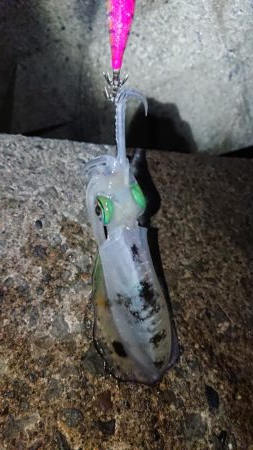 週末は雨模様。