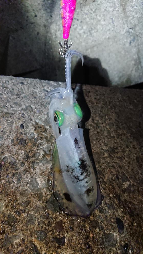 週末は雨模様。