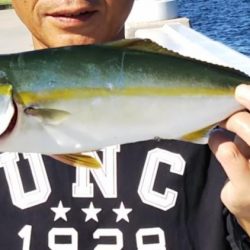 ツバス？ハマチ？