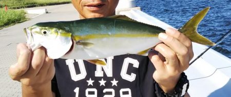 ツバス？ハマチ？