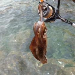 清掃活動からのエキング